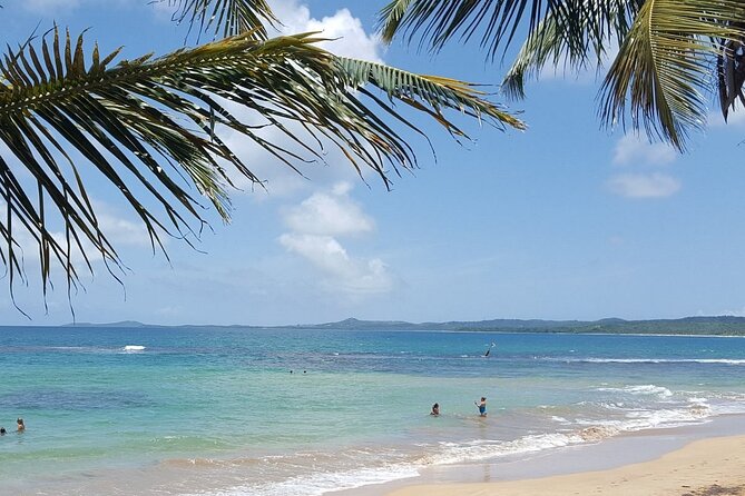 Private El Yunque Waterslides and Luquillo Beach Tour - Customer Experiences