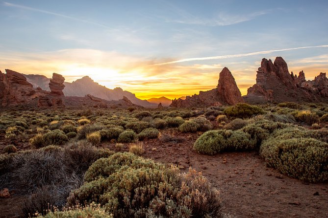 Private Excursion to Teide National Park - Booking Process