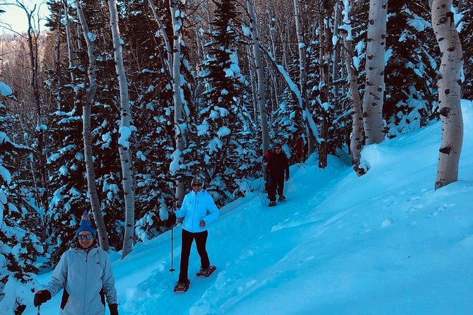 Private Guided Snowshoe Excursion in Park City (9:30am and 1:30pm Start Times) - Upgrading Your Tour