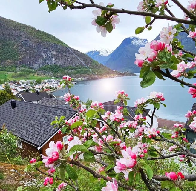 Private Guided Tour - Nærøyfjord Cruise and Flåm Railway - Inclusions