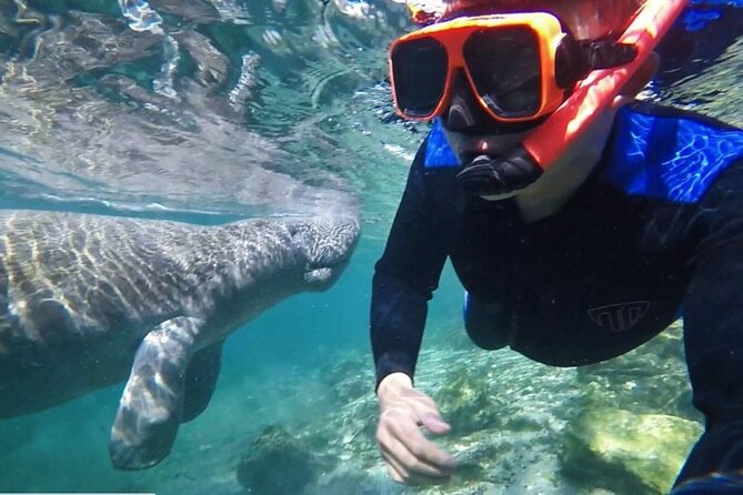 Private Manatee Tour for up to 10 - Group Size and Exclusivity