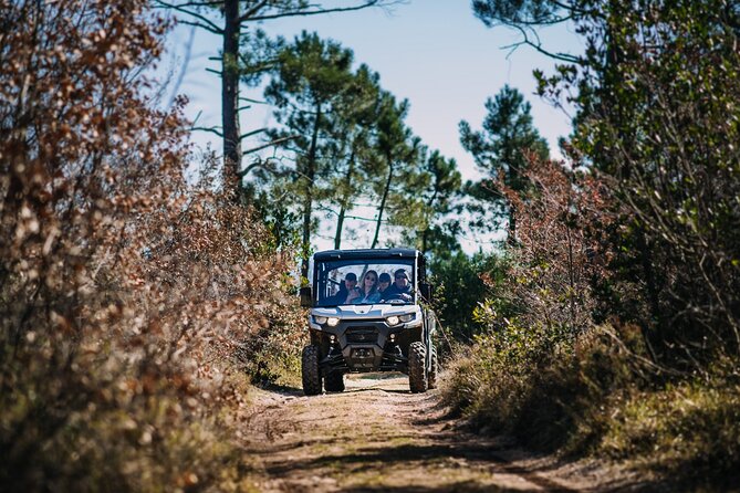 Private Panorama Buggy Tour (Half Day) - Meeting and Pickup Details