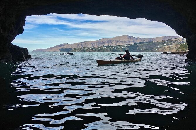 Private Sea Kayaking Tour From Christchurch/Lyttleton - Highlights of the Journey