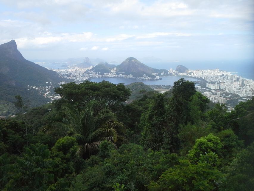 Private Tijuca Forest & Botanical Garden Guided Tour - Tour Logistics and Transportation