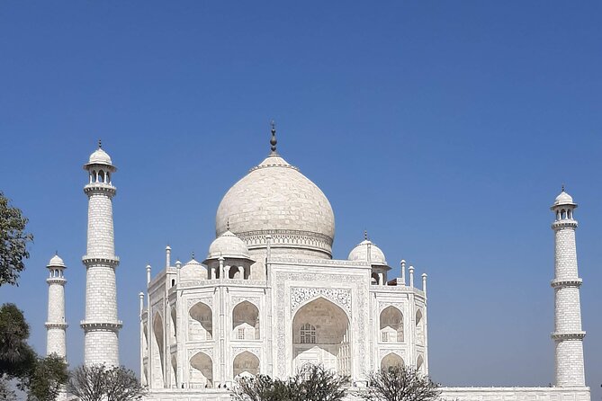 Private Tour of Taj Mahal - Pricing Information