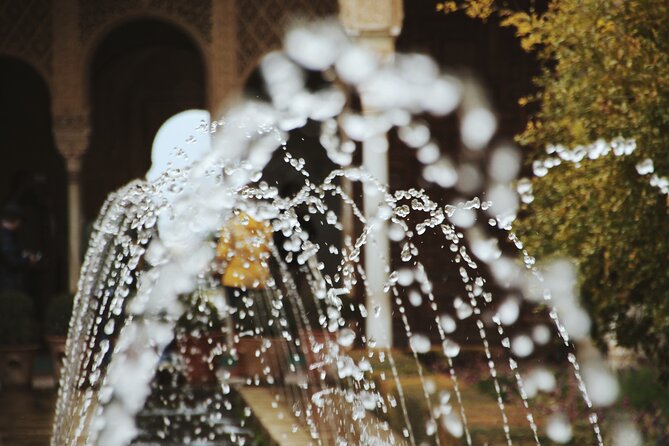 Private Tour of the Alhambra to Travel Back in Time. NO TICKETS - Customer Reviews and Feedback