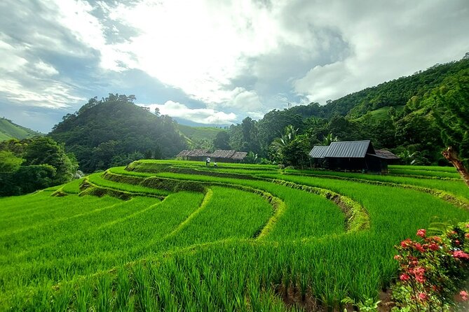 Private Tour to Doi Inthanon Including Twins Pagodas and Hiking - Accessibility Information