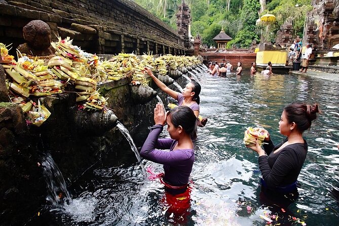 Private Tour Ubud: Swing at Rice Field With Temple and Waterfall - Pricing Information
