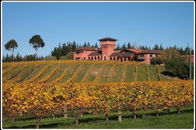 Private Tour: Winter Wine and Scenic Delights Tour From Picton - Reviews and Customer Feedback