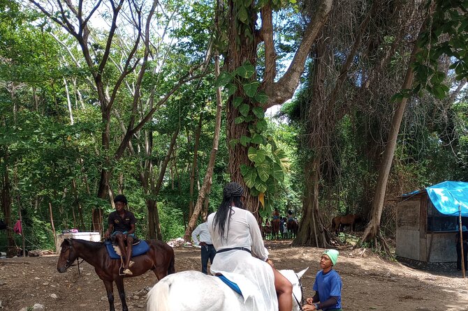 Private Transport to Dunns River/ Blue Hole/ Horseback Riding - Pricing Information