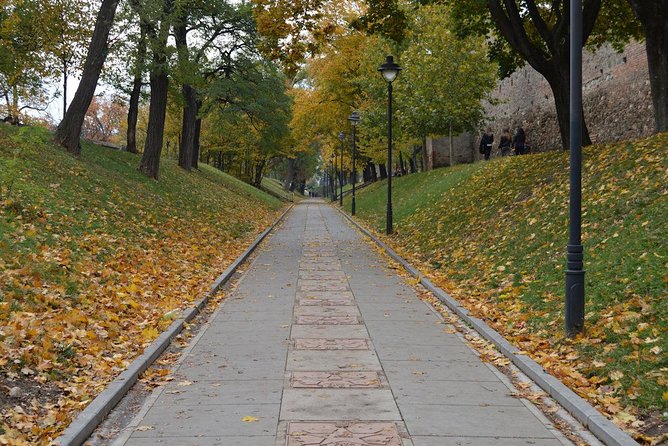 Private Walking Tour of Sibiu - Accessibility Features