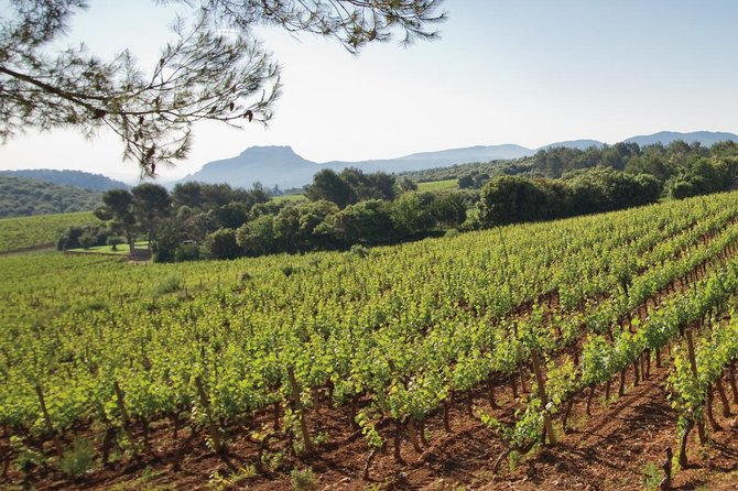 Provence Wine Tour - Private Day Tour From Cannes - Booking Information