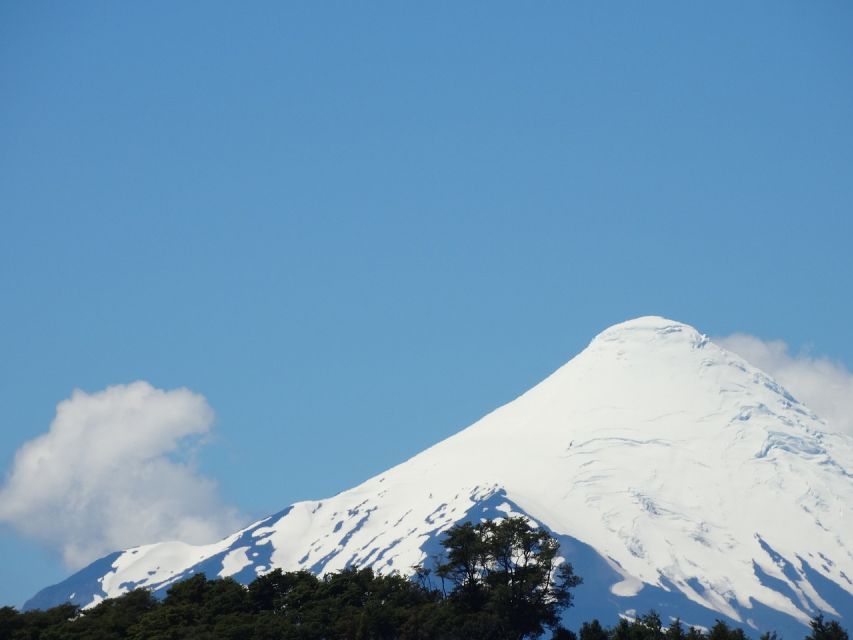 Puerto Montt: Osorno Volcano and Petrohué Falls Guided Tour - Customer Experience Ratings