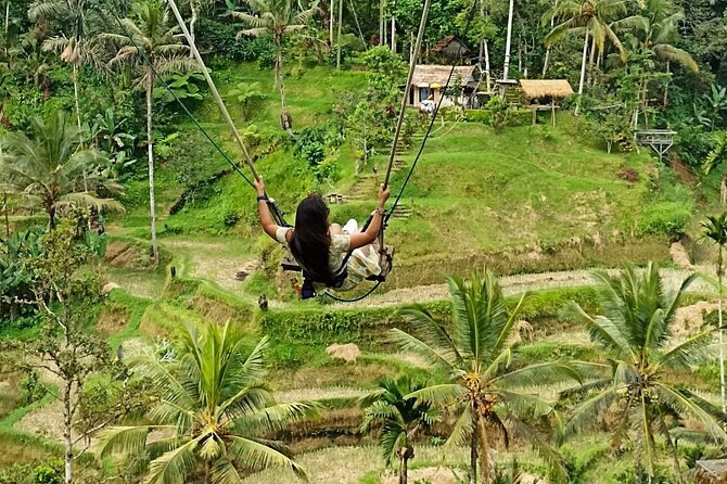 Purification Temple Ubud Village Scenic Private Guided Tour - Pickup Locations