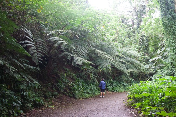 Rainforest Waterfall Trail and Shuttle Service - Safety Considerations