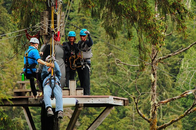 Rainforest Zip, Skybridge & Rappel Adventure in Ketchikan, AK - Accessibility Considerations