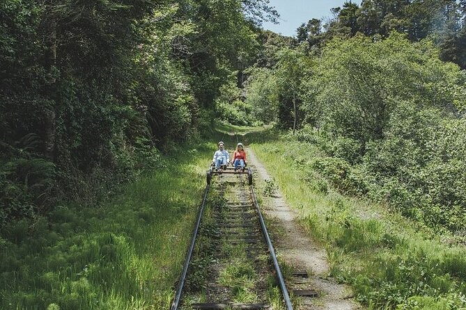 Redwoods Railbike Along Pudding Creek - Scenic Highlights Along the Route