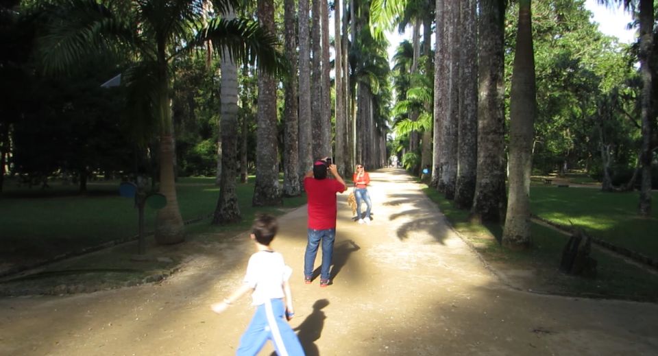 Rio: Botanical Garden, Tijuca Forest, and Parque Lage Tour - Key Attractions