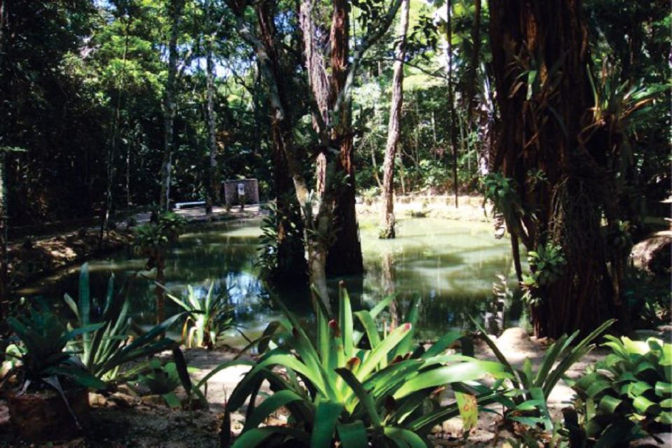 Rio De Janeiro: Tijuca National Park Ecotour - Exploring Tijuca National Park