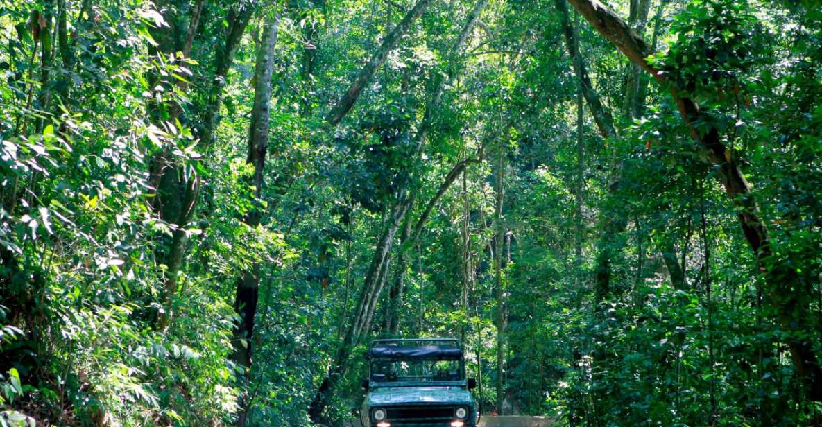 Rio: Jeep Tour to Botanical Garden and Tijuca Forest - Customer Reviews and Ratings