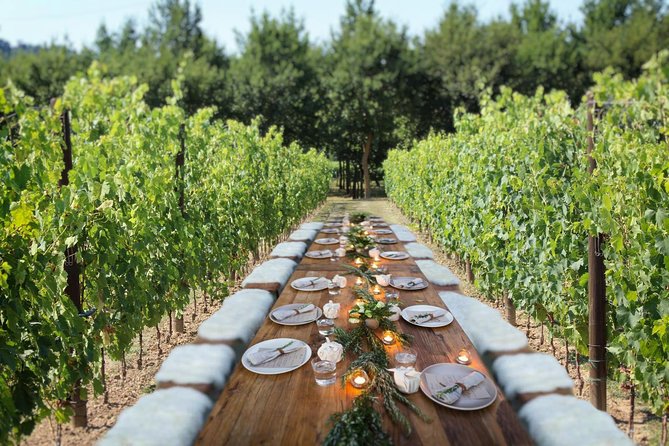 Romantic Lunch in the Vine Rows in Tuscany - Guest Experiences and Reviews