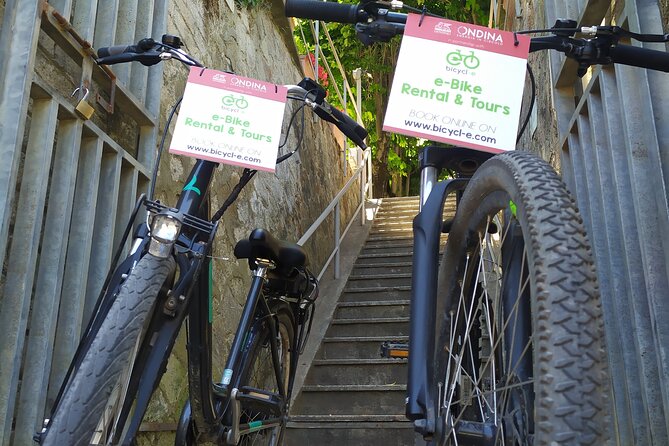 Rome Tiber Cycle Path: Electric & Muscle Rental Bike - Accessibility and Participant Guidelines