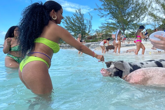 Rose Island Private Beach: Swimming With the Pigs - Safety Measures