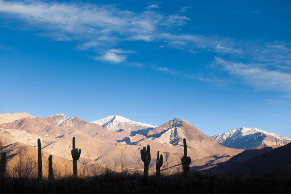 Salta: Calchaquí Valley Scenic Drive and Day Trip to Cachi - Customer Reviews and Ratings