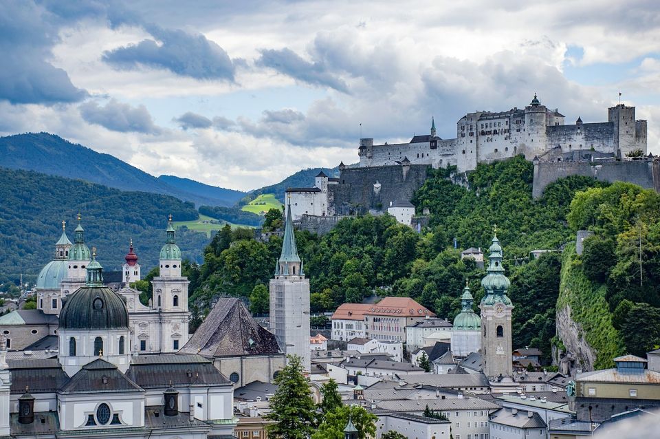 Salzburg: Private One-Way Transfer to Cesky Krumlov - Driver and Vehicle Information