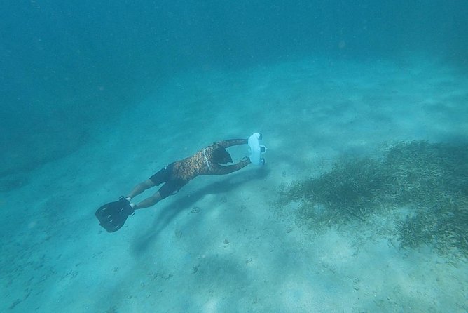 San Juan Turtle Spotting Snorkel Adventure With Videos - Additional Resources and Videos