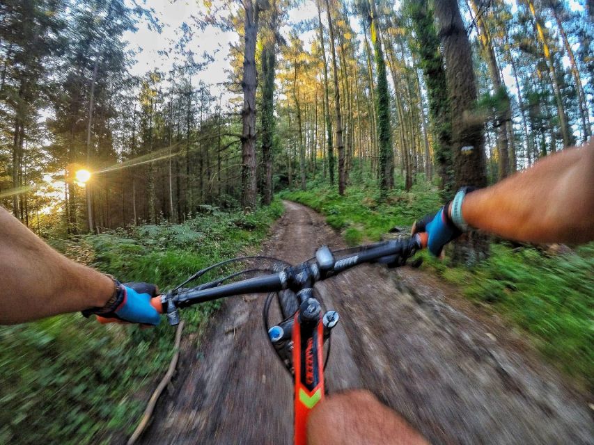 San Sebastián: Basque Country Mountain Bike Exploration - Local Snack and Drink