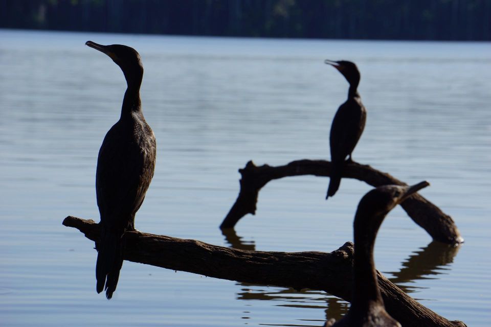 Sandoval Lake Tour 3 Days - Included Services and Amenities