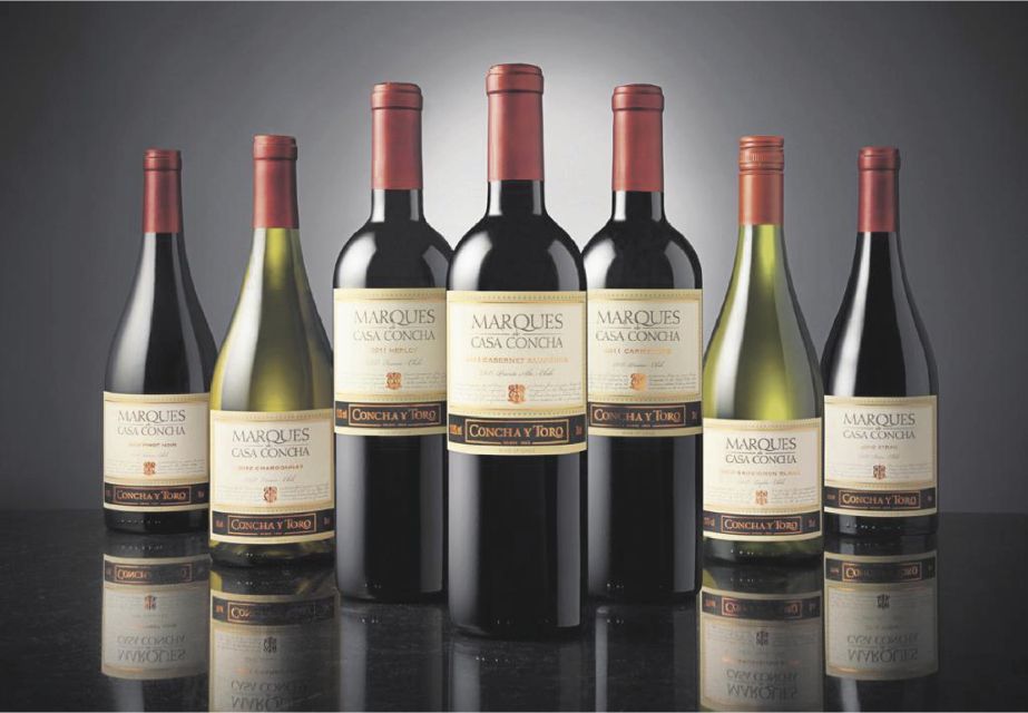 Santiago: Concha Y Toro Winery 4-Hour Tour & Sommelier Class - Customer Feedback and Ratings