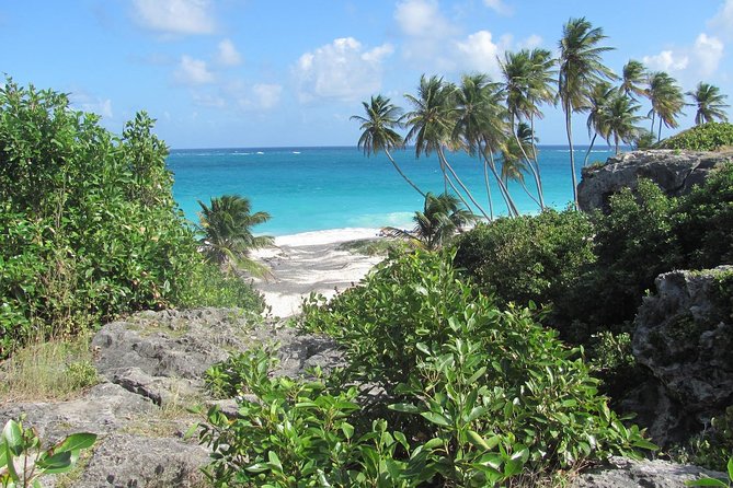 Scenic Barbados Coast To Coast Half-Day Tour - Customer Feedback