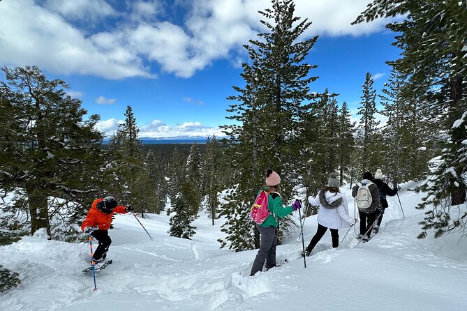 Scenic Snowshoe Adventure in South Lake Tahoe, CA - Scenic Highlights and Expectations