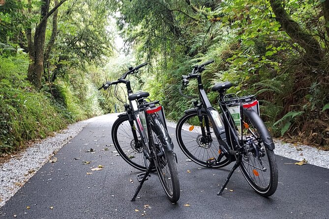 Self Guided Bike Tour on the Limerick Greenway - Exploring Limerick Beyond the Greenway