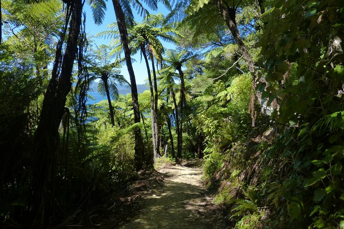 Self-Guided Queen Charlotte Track Walk From Picton - Meeting Point Information