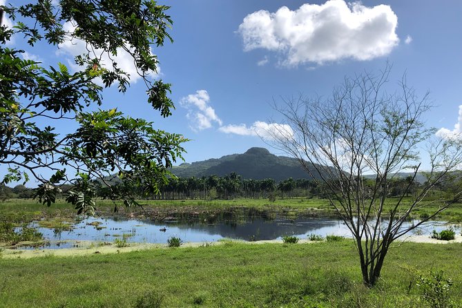 Shore Excursion: V.I.P. DayPass: ATV, Zip Lines, Horseback Riding & Lunch - Safety and Health Guidelines