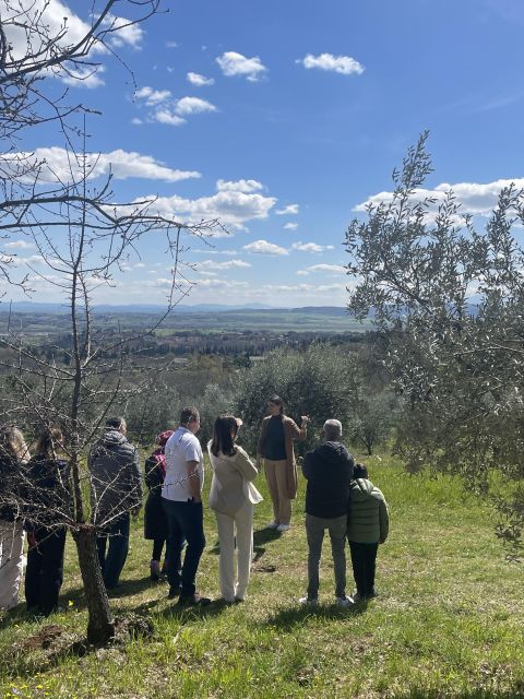 Siena: EVO Oil Experience With Walk, Tasting and Lunch - Culinary Experience