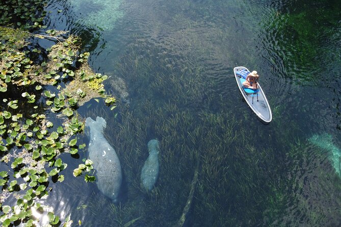 Silver Springs: Clear Kayak Wildlife Adventure - Tour Inclusions and Details