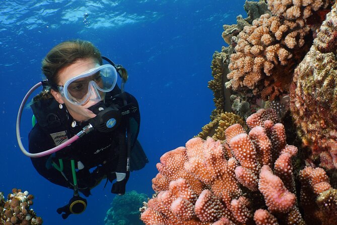 Silversonic Outer Great Barrier Reef Cruise From Port Douglas - Meeting and Pickup Details