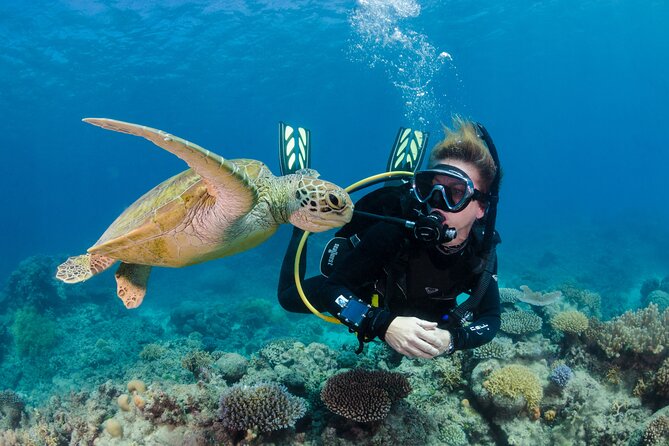 Silverswift Dive and Snorkel Great Barrier Reef Cruise - Health and Safety Guidelines