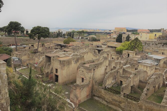 Skip the Line Ancient Herculaneum Walking Tour With Top Rated Guide - Highlights of Historical Sites