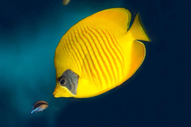 Skip the Line: Barcelona Aquarium Ticket - Reviews and Visitor Feedback
