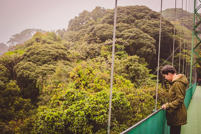 Sky Walk From Monteverde - Wildlife Viewing Opportunities