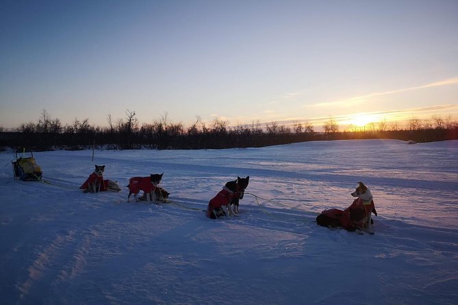 Sled Trip With Husky in the Alta Valley - Gear and Equipment Provided