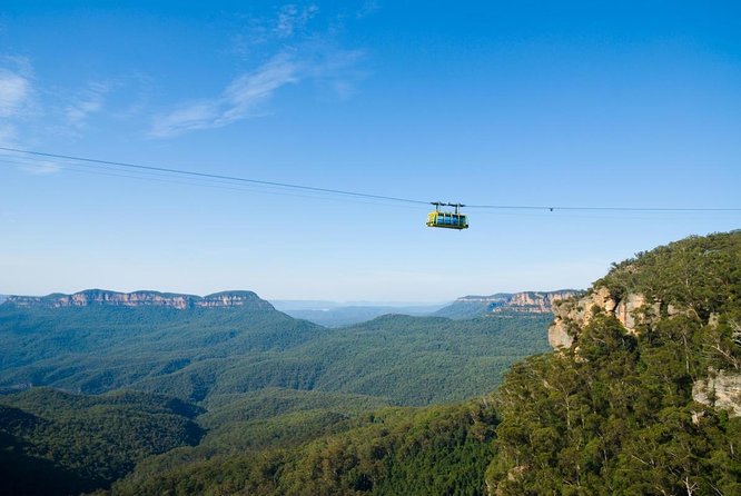 Small Group Blue Mountain Trip: Scenic World, Lunch, RiverCruise - Wildlife Encounters