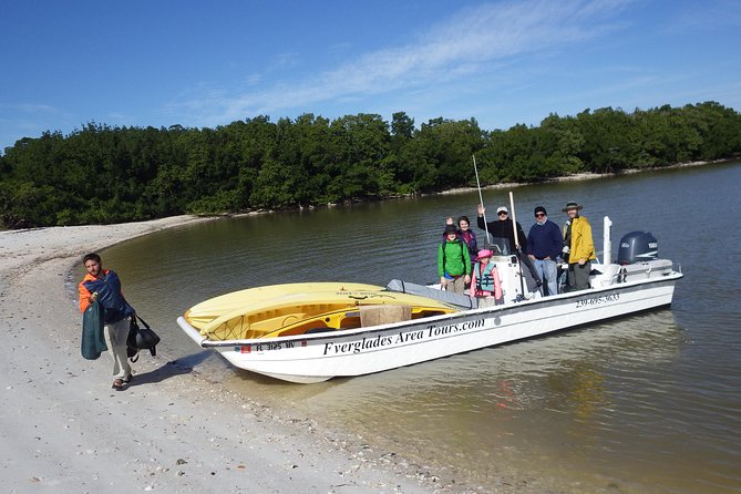 Small Group Boat, Kayak and Walking Guided Eco Tour in Everglades National Park - Wildlife Encounters