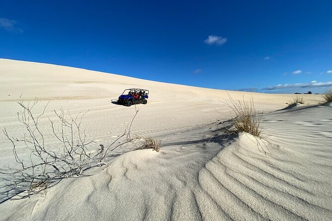 Small-Group Buggy Tour at Little Sahara With Guide - Pricing and Cancellation Policy