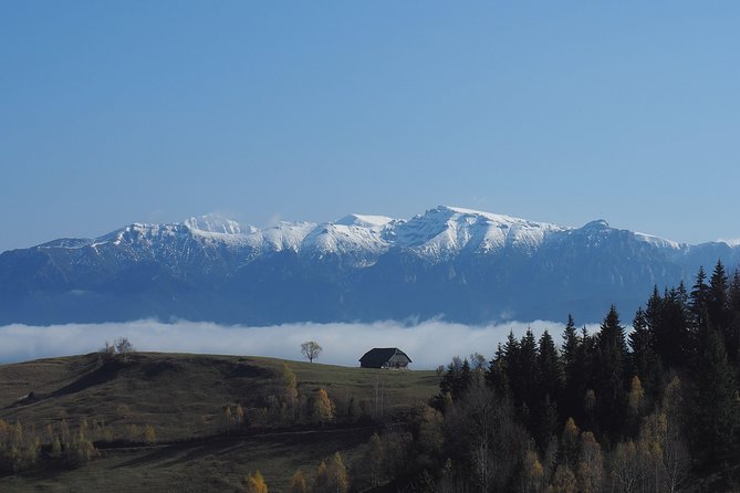 Small-Group Day Trip in Romanian Authentic Mountain Villages From Brasov - Unique Features of Lilicilor Cave